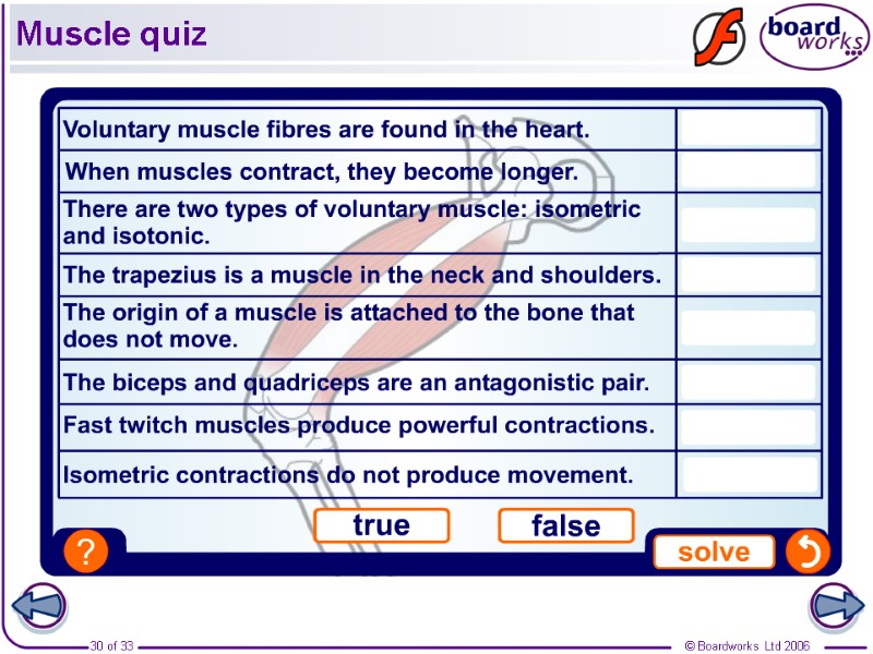 Muscle quiz
